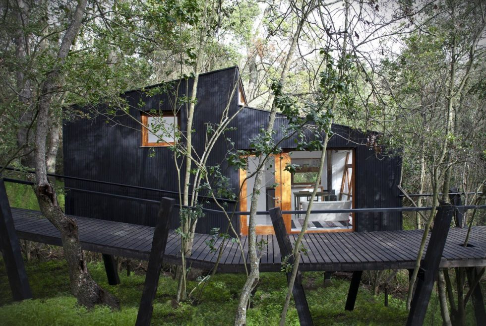 Casa Quebrada Treehouse