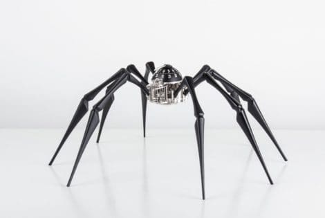 Arachnophobia Black Watch