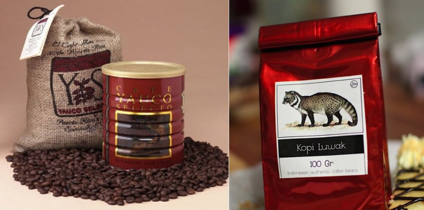 Most expensive coffee in the world