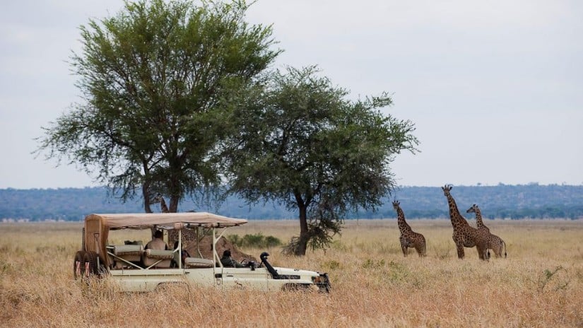 Sanctuary Swala Camp