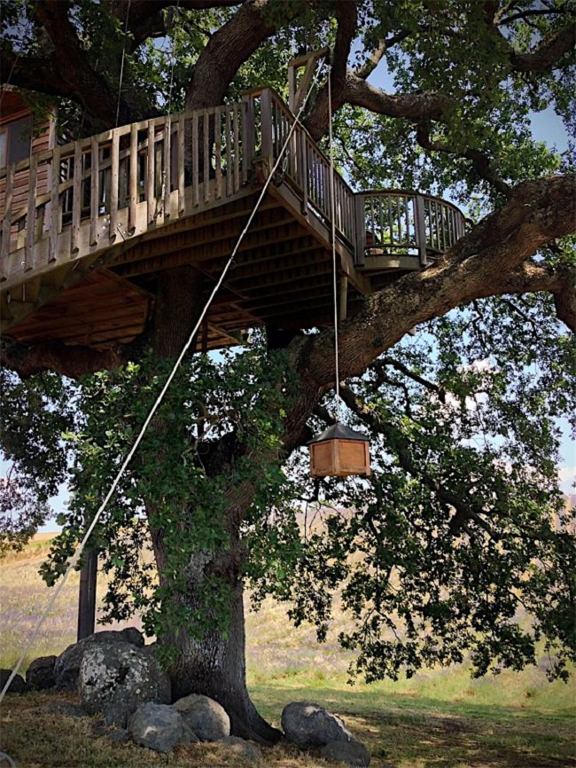La Piantata Tree House B & B 3