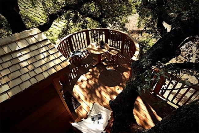 La Piantata Tree House B & B 4
