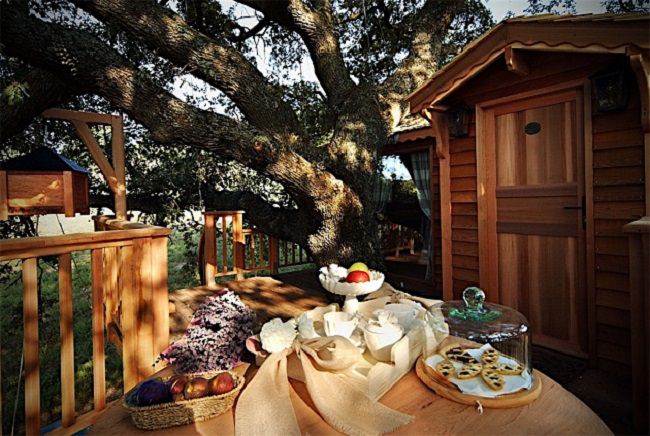 La Piantata Tree House B & B 5