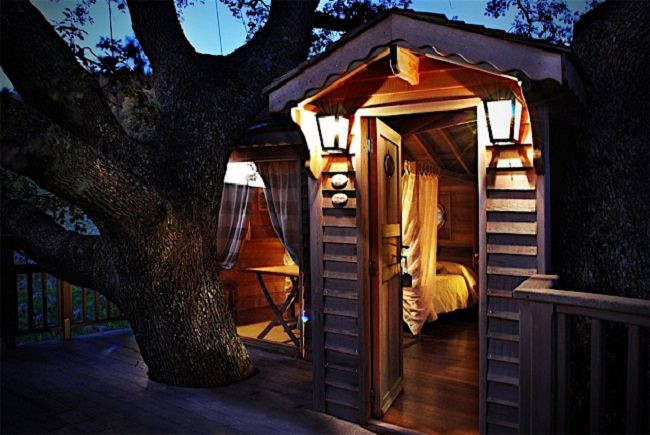 La Piantata Tree House B & B 8