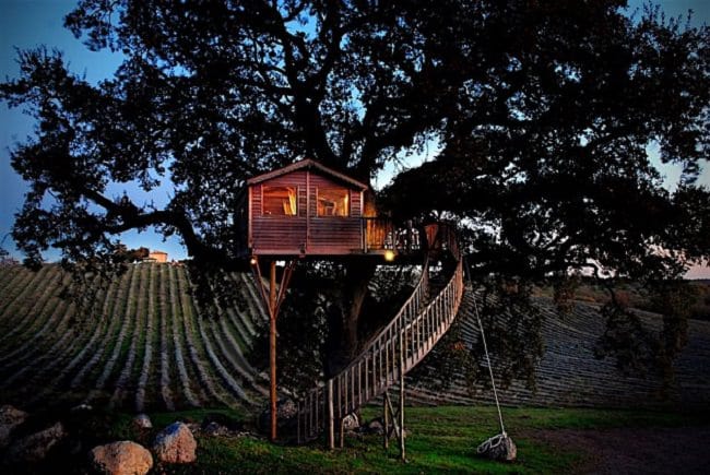 La Piantata Tree House B & B 9