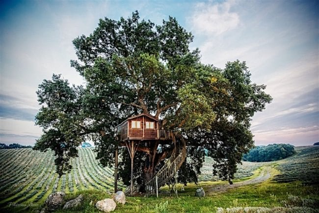 La Piantata Tree House B & B