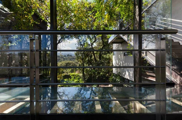 La Casa en el Bosque - Mexico City 3