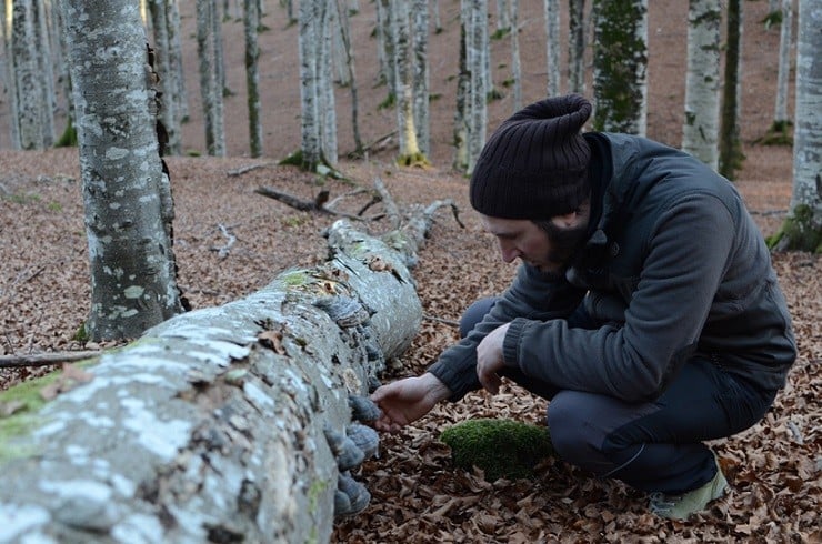 Fungi Collection Furniture 4