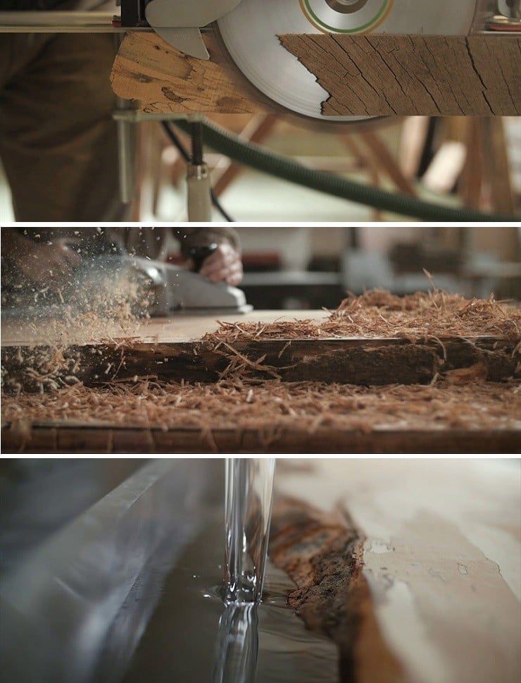 'Fungi Collection' Furniture Men's Gear