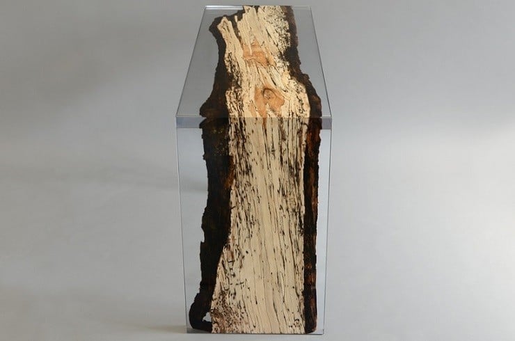 Fungi Collection Furniture 8