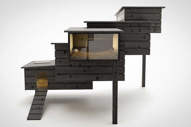 Breed Retreat Chicken Coop 4