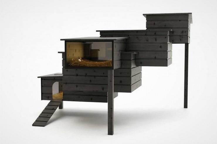 Breed Retreat Chicken Coop 5