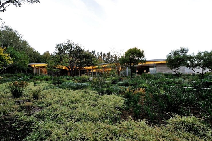 house-in-constantia-valley-3