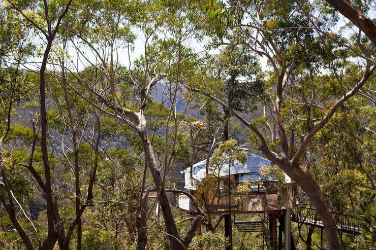 treehouse-blue-mountains-8