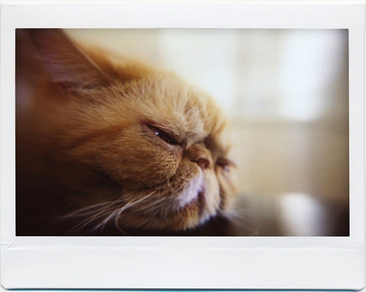 lomo-instant-wide-central-park-camera-3