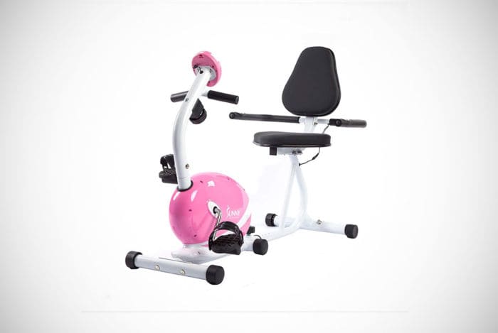 Sunny Health & Fitness Recumbent Exercise Bike