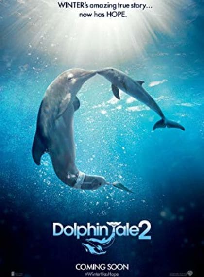 Dolphin Tale 2
