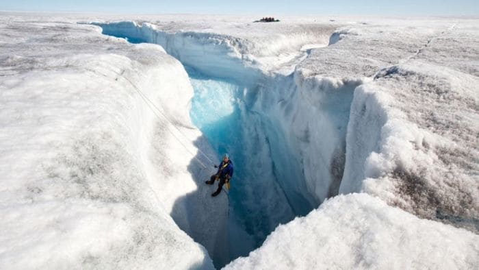 Frozen Planet (Collection)