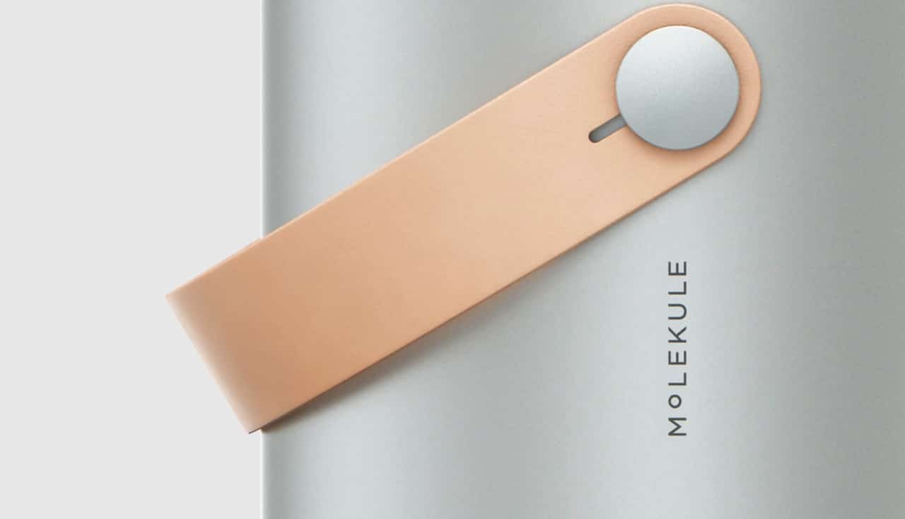 Molekule Purifier