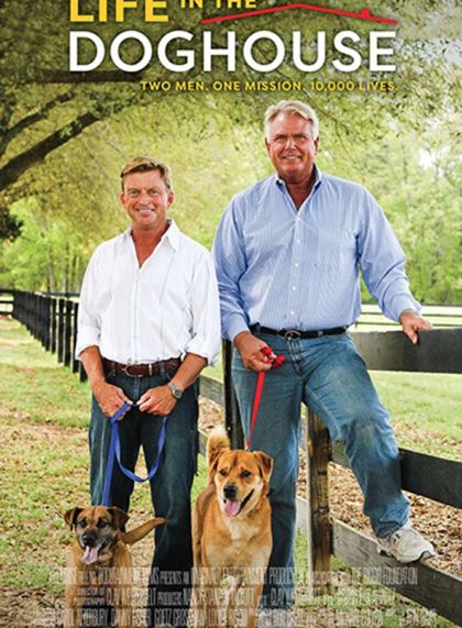 Life in the Doghouse