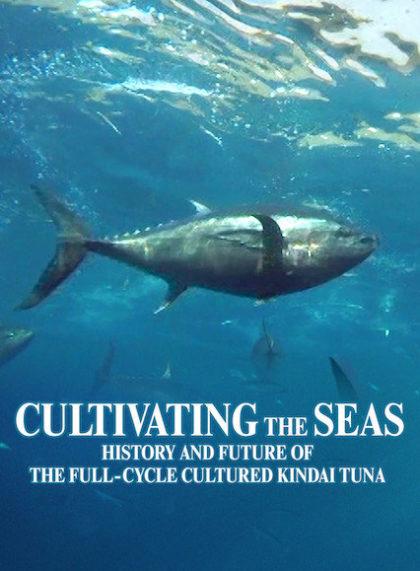 Cultivating the Seas: History and Future of the Full-Cycle Cultured Kindai Tuna