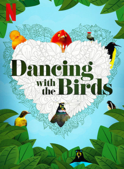 Dancing with the Birds