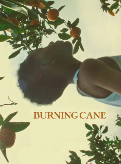 Burning Cane