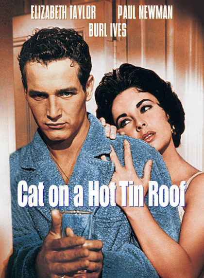 Cat on a Hot Tin Roof