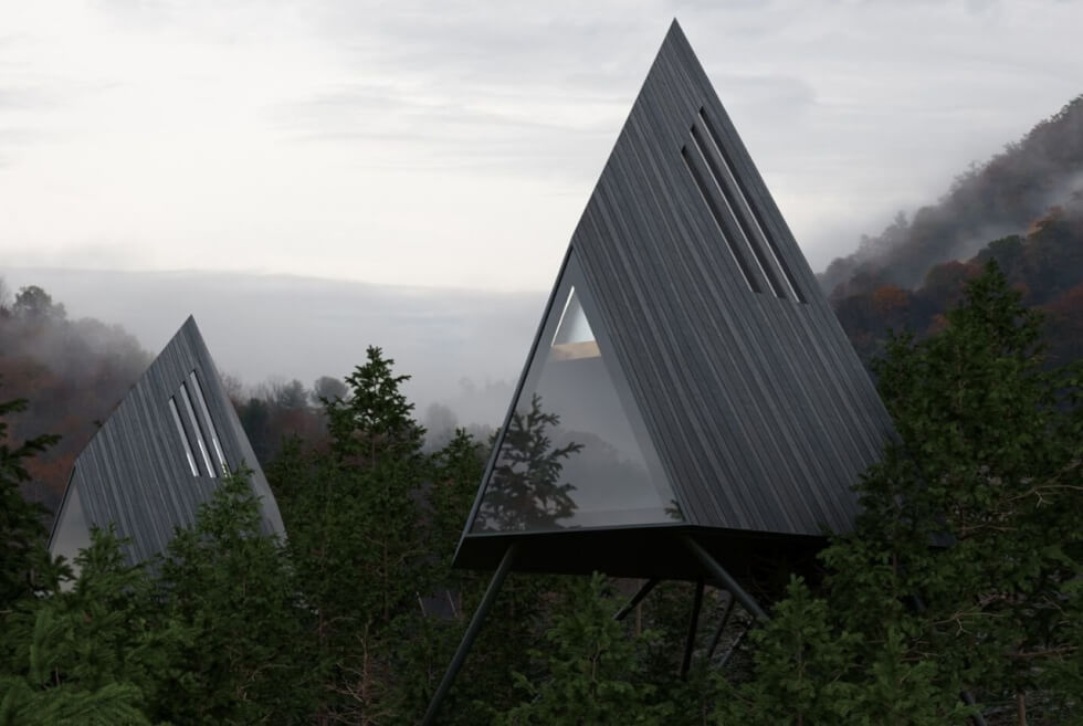 Take A Triangular View of the Forest Treetops Inside The Antony Gibbon ...