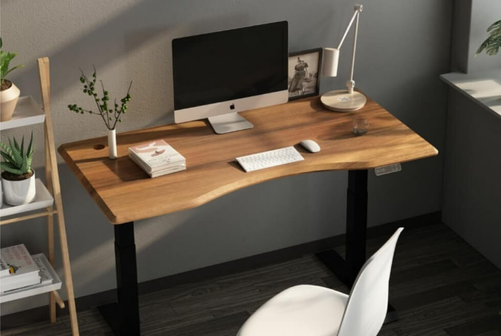 FlexiSpot Premium Adjustable Standing Desk Pro Series