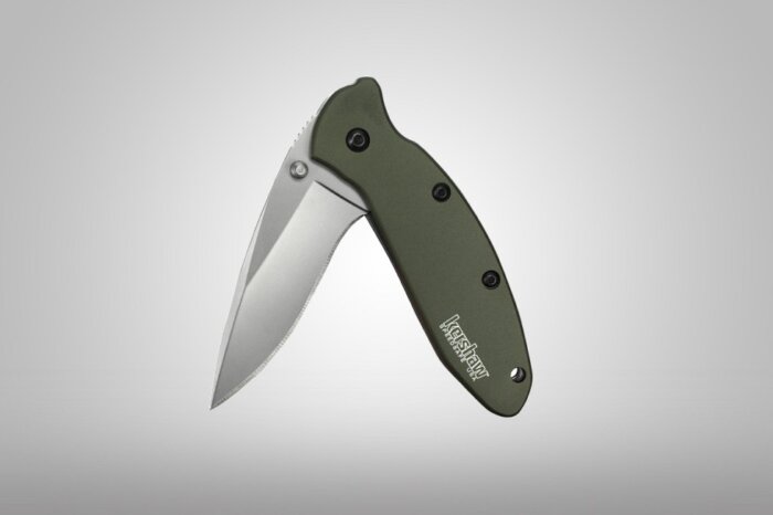 Kershaw Scallion Pocket Knife Review