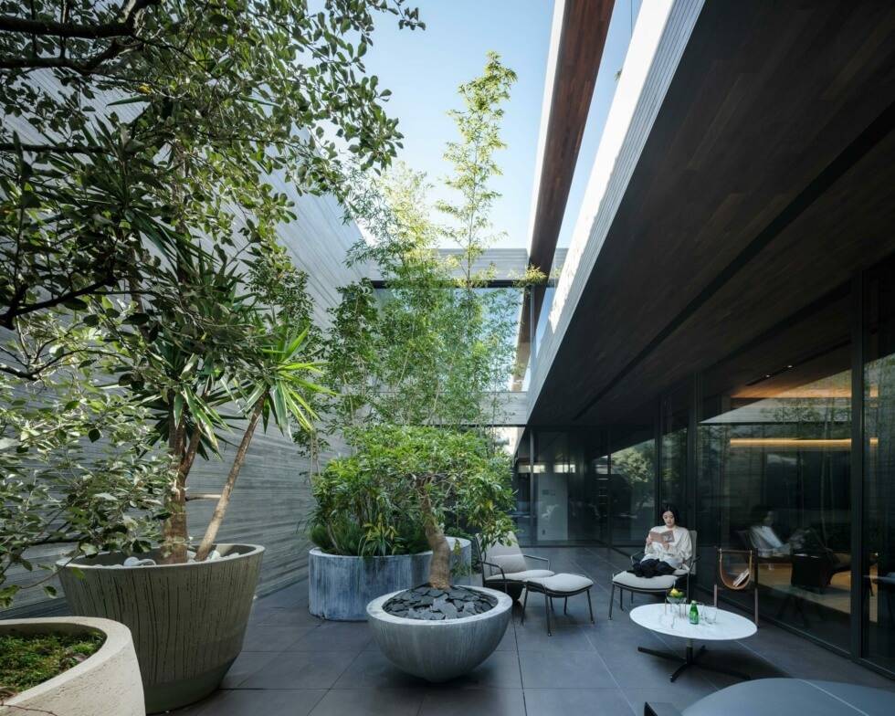 Timeless Courtyard