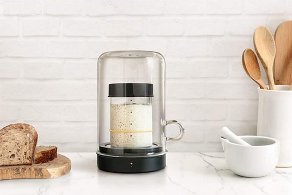 The Goldie Chamber Incubates Your Sourdough Starter At An Ideal Temperature