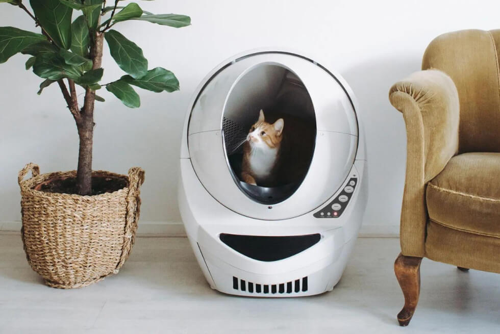 Litter-Robot 3 Connect: Automate Your Cat’s Waste Cleanup Process