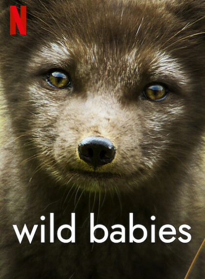 Wild Babies (Season 1)