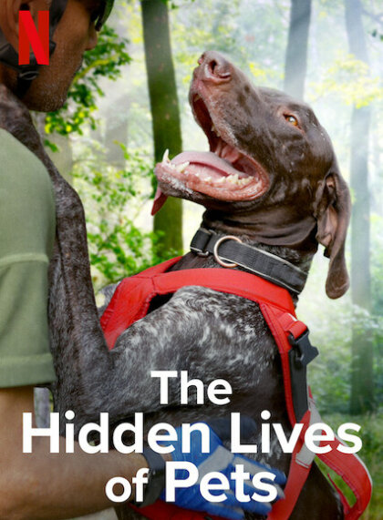 The Hidden Lives of Pets