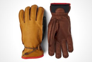 Hestra Gloves Wakayama Mitt