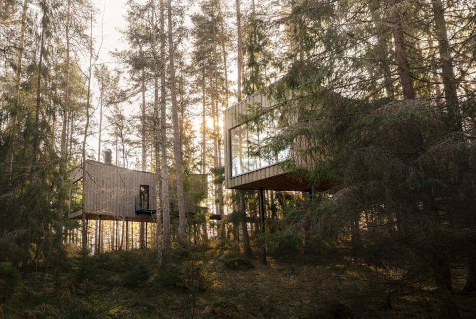 Commune With Nature At The Trakt Forest Hotel