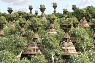 BAOBAB Luxury Safari Resort