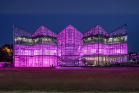 vertical farm beijing