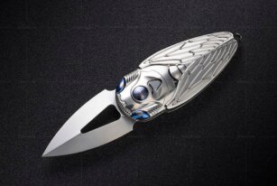 The Cicada